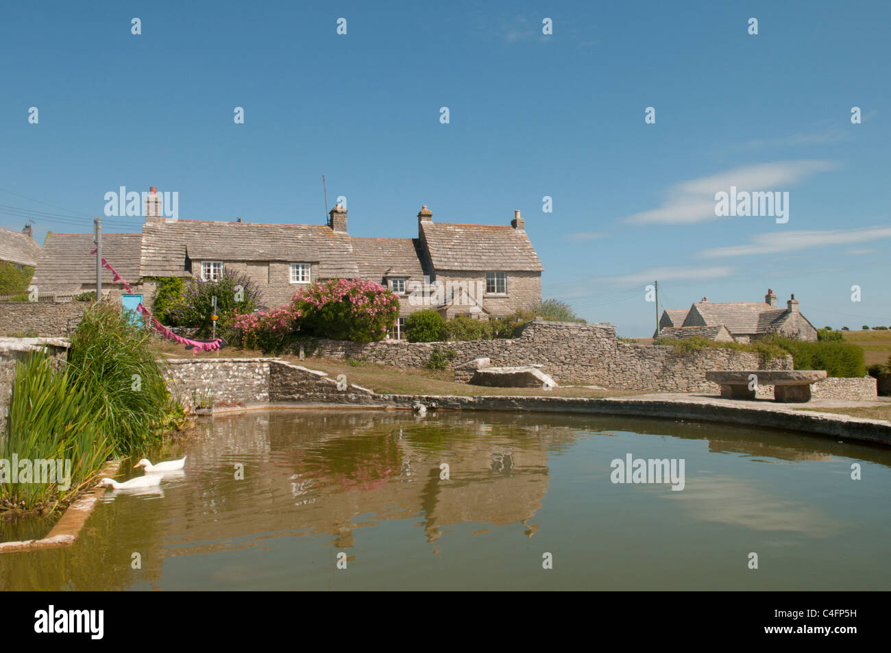 Der Dorfteich bei Wert Matravers, in der Nähe von Swanage, Dorset, UK. Juli. Stockfoto