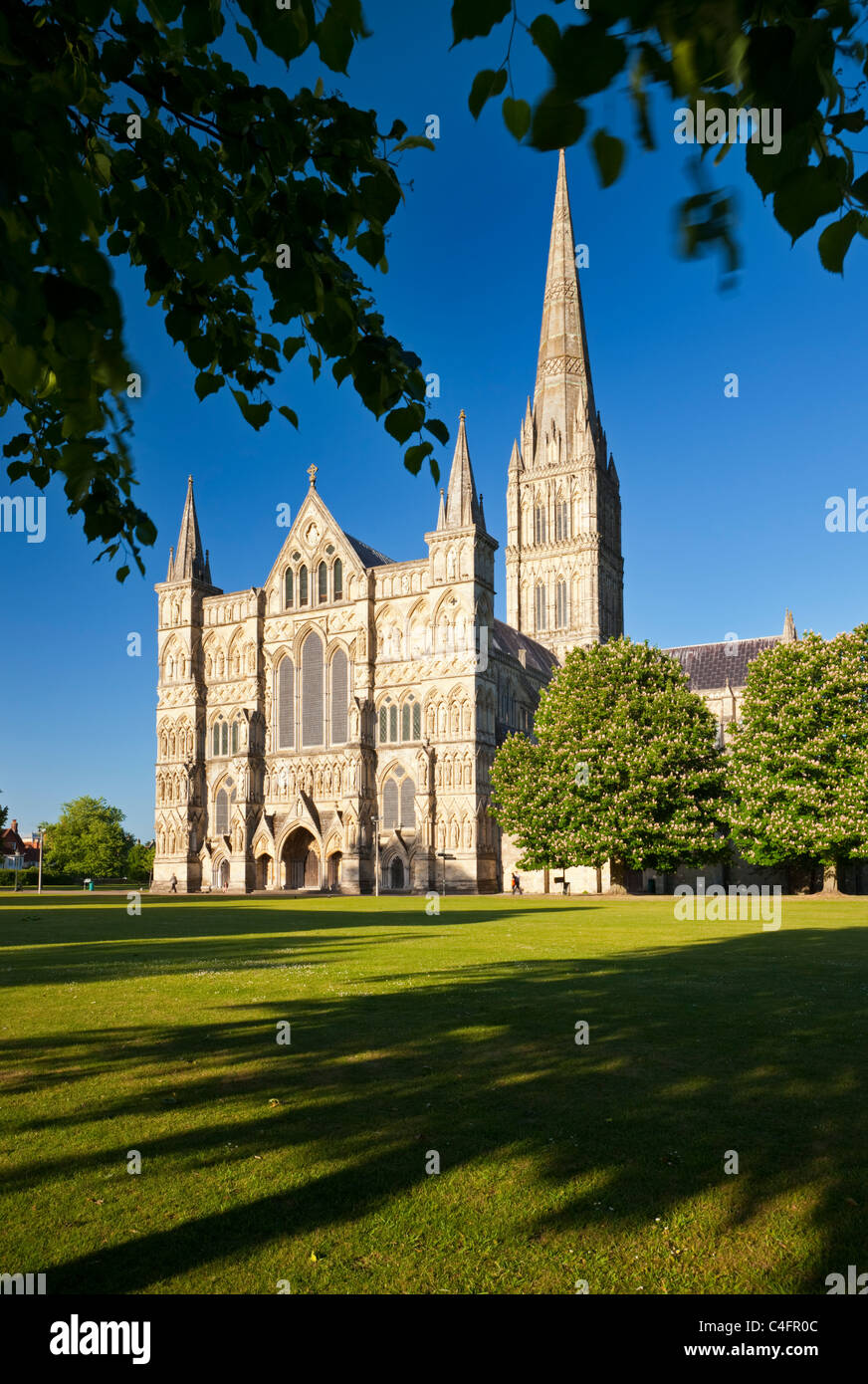 Die Westfassade der Kathedrale von Salisbury Kathedrale nahe, Salisbury, Wiltshire, England. Frühjahr (Mai) 2011. Stockfoto
