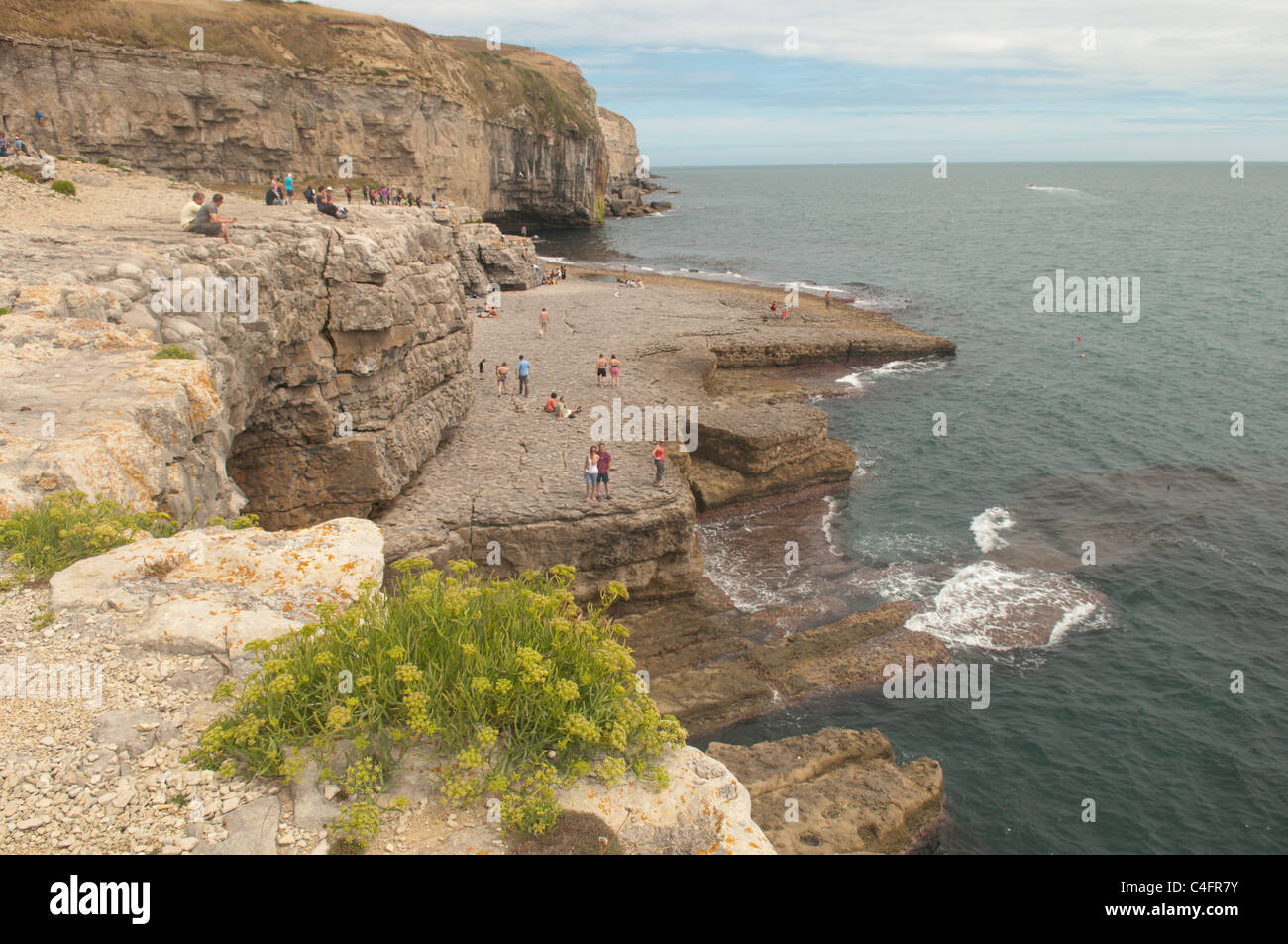 Dancing Ledge, Swanage, Dorset, Großbritannien. Juli. Stockfoto