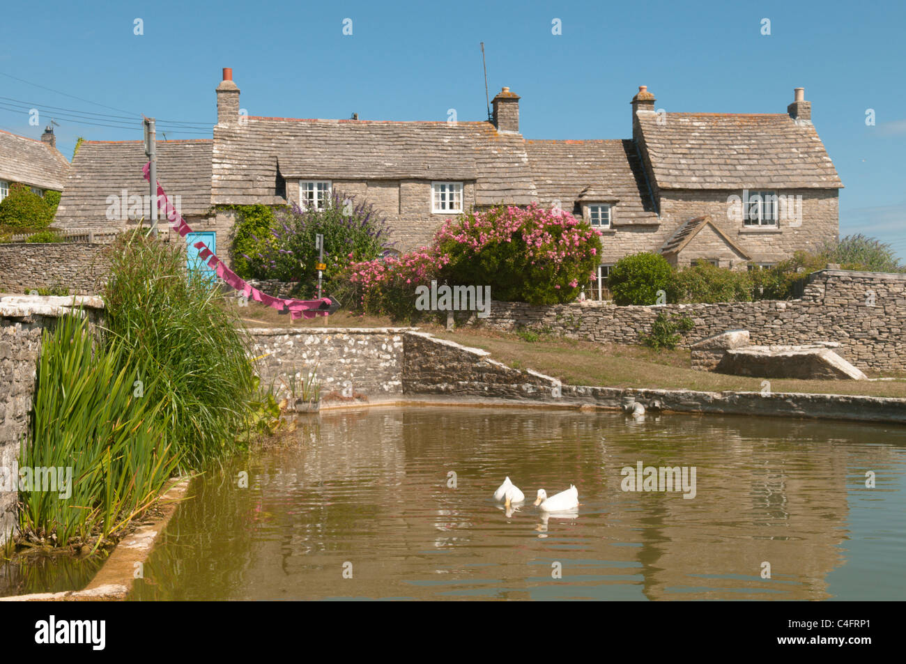 Der Dorfteich bei Wert Matravers, in der Nähe von Swanage, Dorset, UK. Juli. Stockfoto