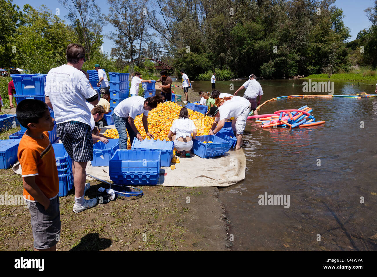 LOS GATOS, CA, USA - Juni 12: Die Quietscheentchen sind ihren Sommer bei der 4. jährlichen Silicon Valley Entenrennen in Vaso kicking off Stockfoto