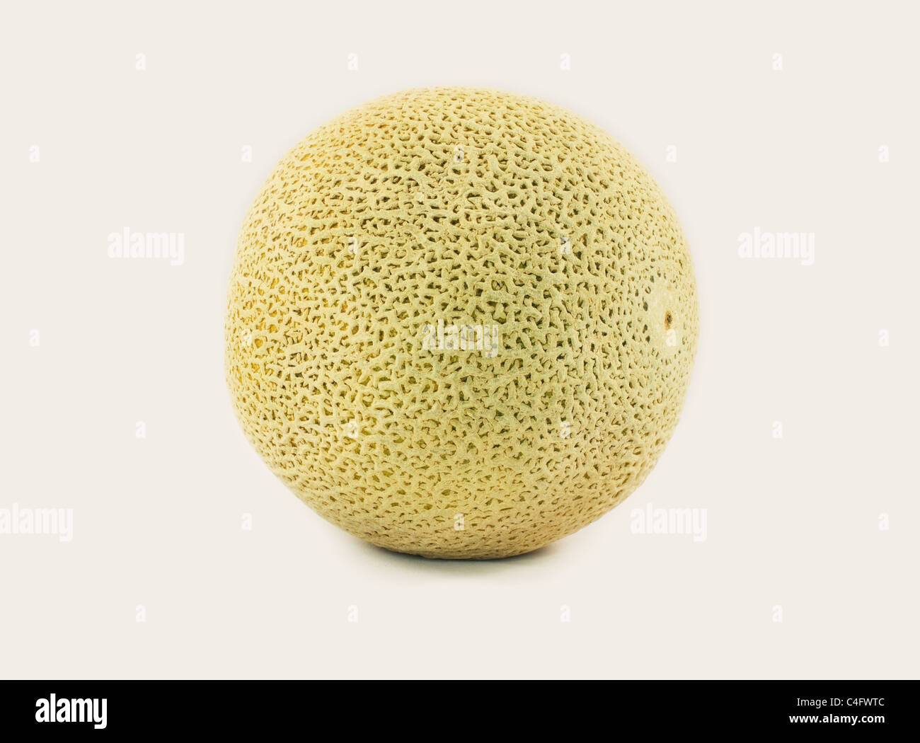 Einzigen festen ganz reif ungeschälte ungeschnitten Melone. Stockfoto