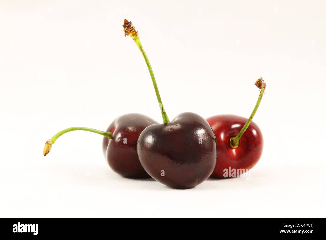 Makro Makros drei festen Reifen schwarzen Kirschen auf weißem Hintergrund Stockfoto