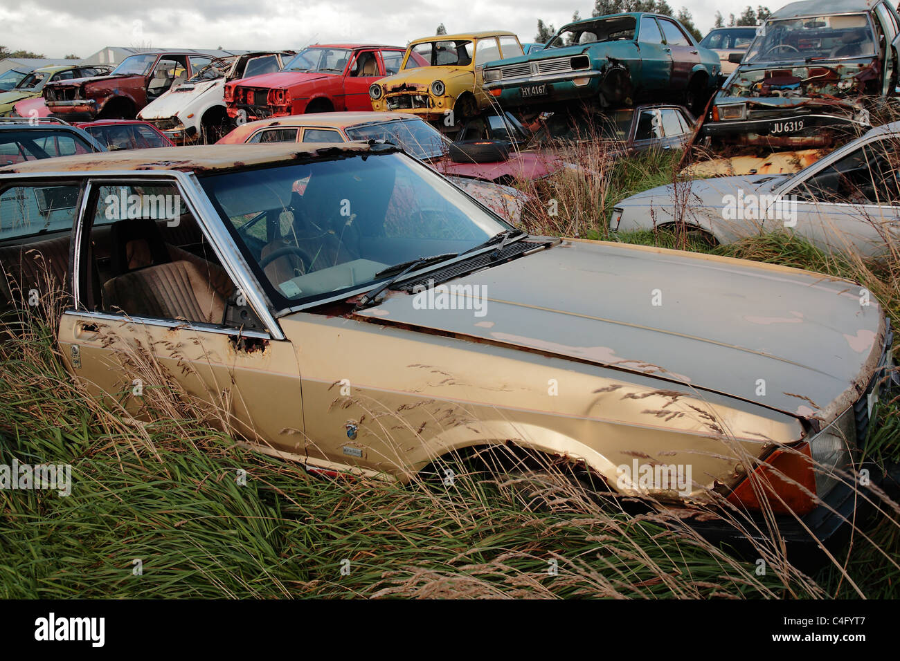 Ein rostiges altes Auto auf einem Schrottplatz in Invercargill, Neuseeland Stockfoto