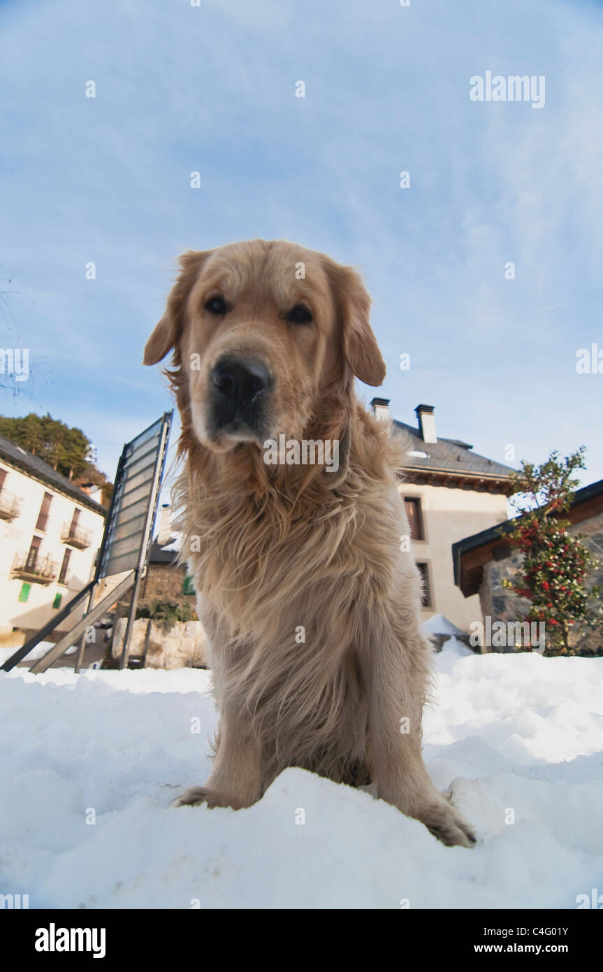 Tramacastilla de tena Fotos und Bildmaterial in hoher Auflösung Alamy