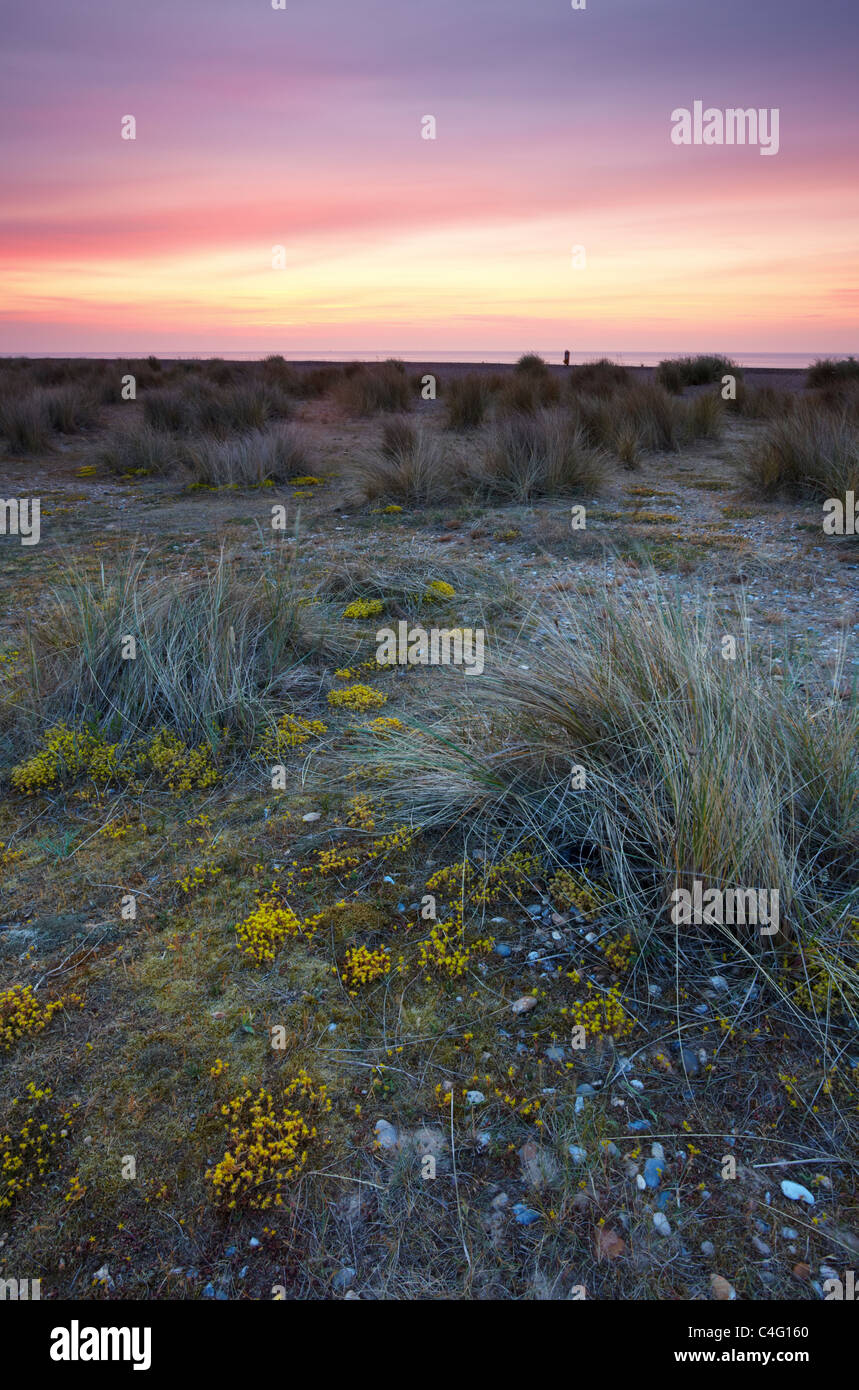 Ein Sommermorgen in Kessingland an der Küste von Suffolk genommen von den Dünen und Heide Stockfoto