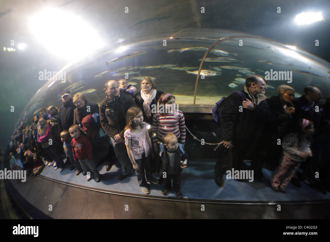 Besucher im Tunnel Beobachtung Deep Sea World, gesehen von innerhalb des Aquariums. Stockfoto