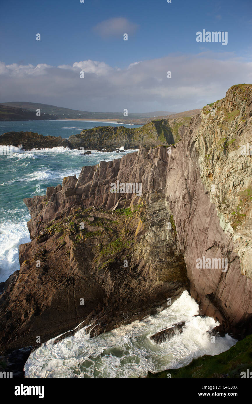 Braue Head, Co. Cork, Irland Stockfoto