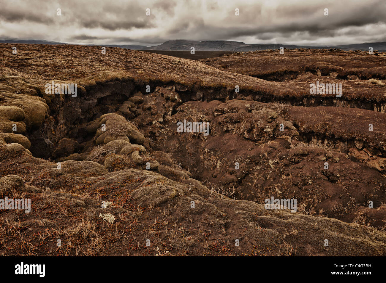 Asche fallen auf Moos und Lava vom Vulkanausbruch Grimsvötn, Island Stockfoto