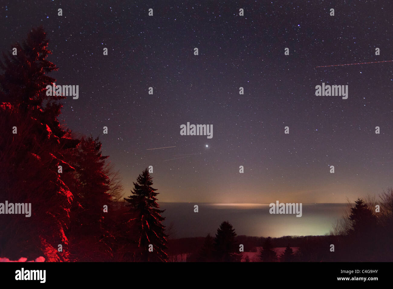 Sterne überdachte Winterhimmel, Hohen Meissner Nationalpark, Nord-Hessen, Deutschland Stockfoto