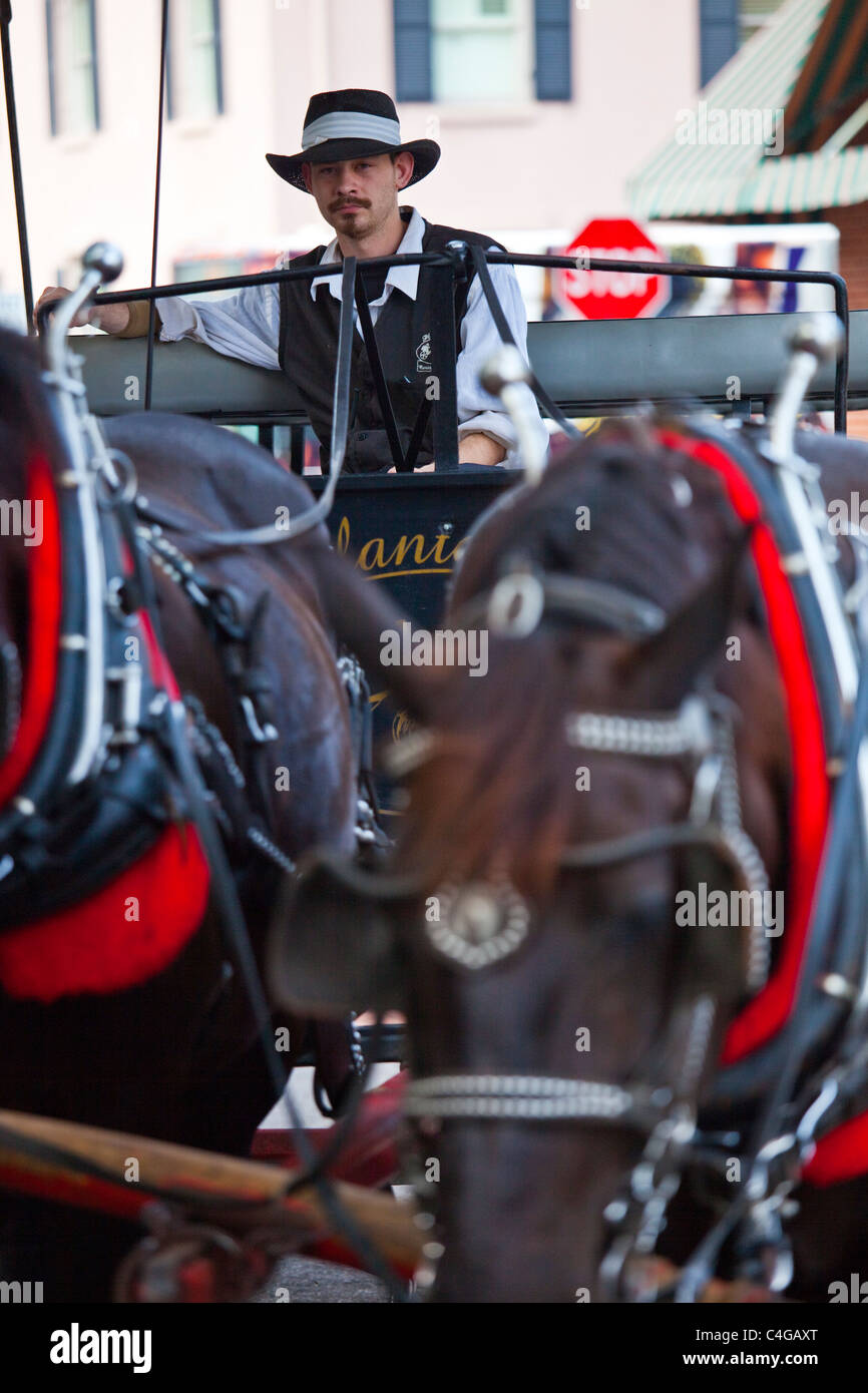 Pferdekutsche in Savannah, Georgia Stockfoto
