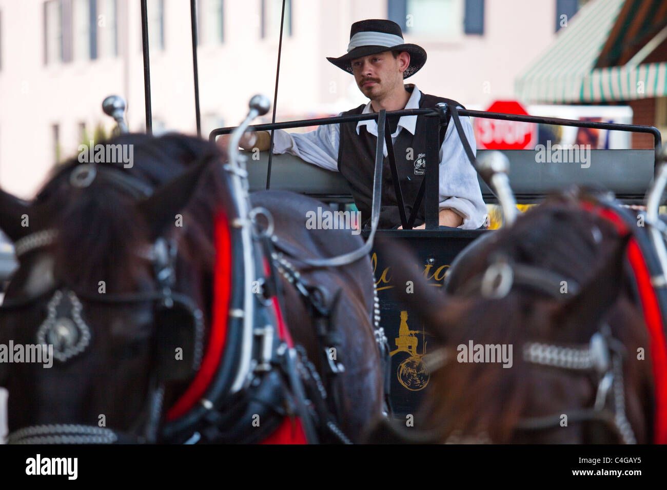 Pferdekutsche in Savannah, Georgia Stockfoto