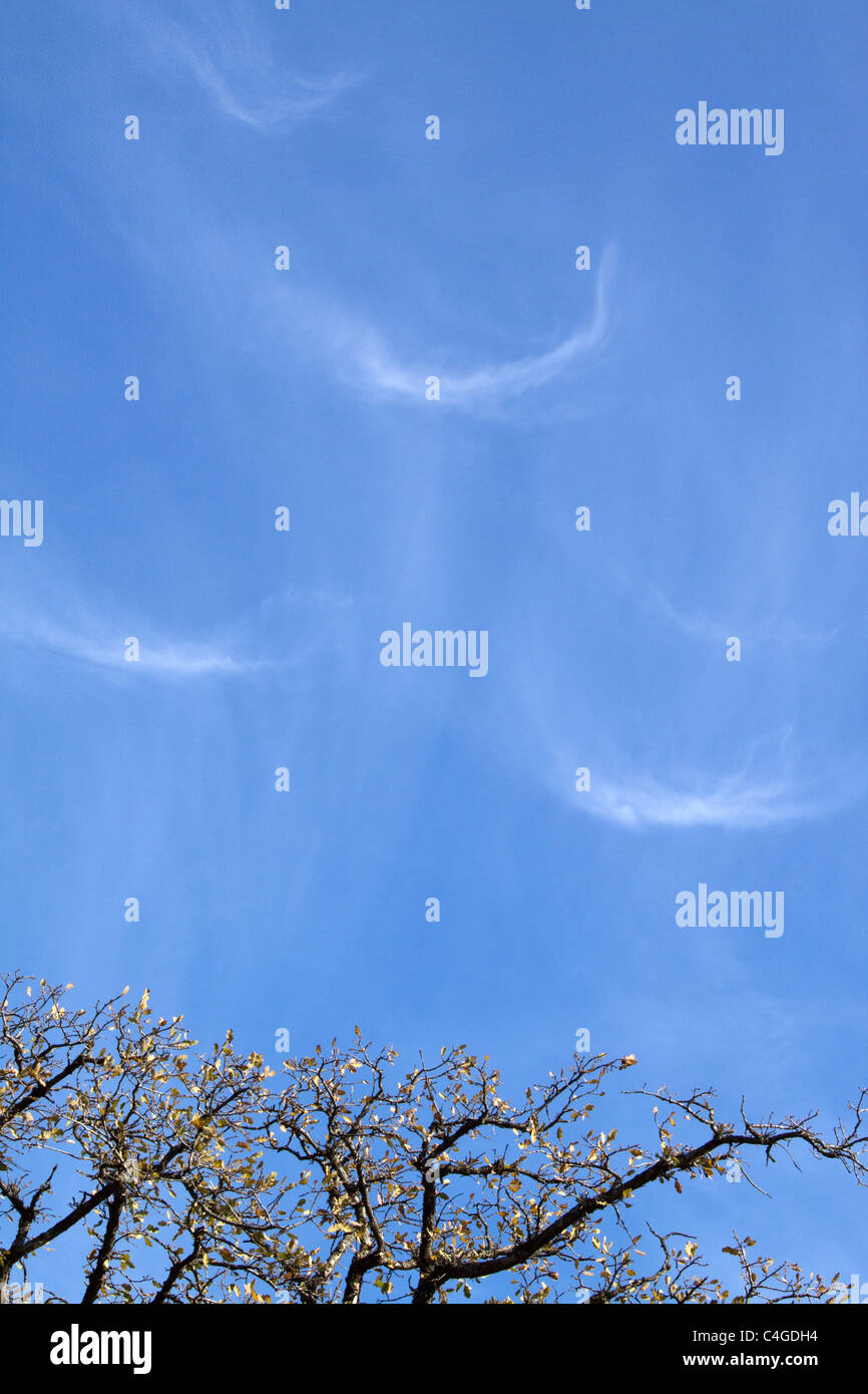 Diese U-förmigen Zirruswolken werden Cirrus intortus genannt, weil sie durch Winde auf der oberen Ebene verdreht werden. Stockfoto