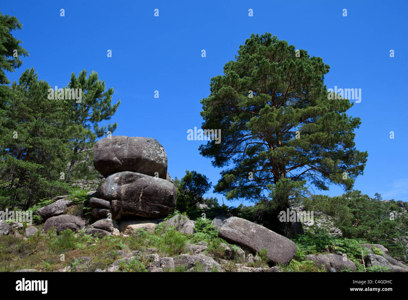 Peneda Geres Nationalpark, portugal Stockfoto