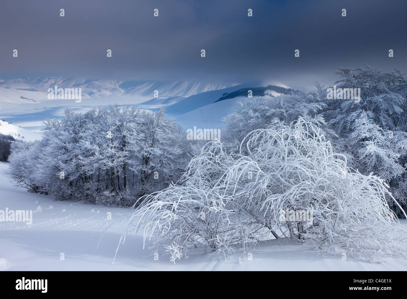 das Piano Grande im Winter, Nationalpark Monti Sibillini, Umbrien, Italien Stockfoto