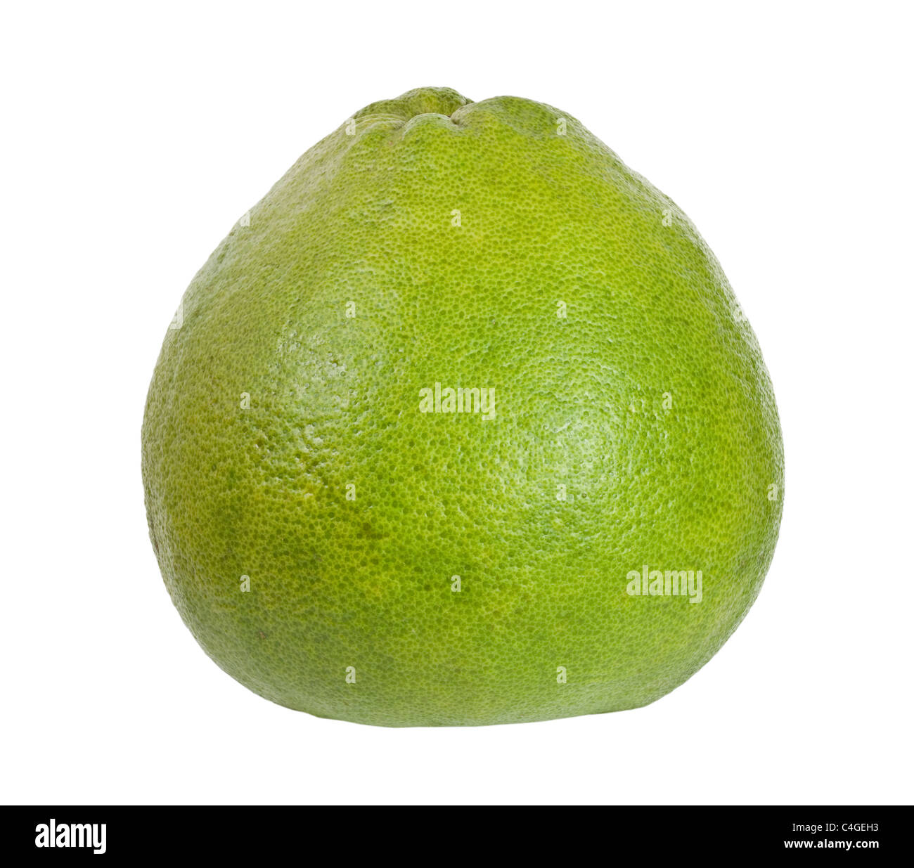Tropische Früchte - einzelne ganze Pomelo isoliert auf weißem Hintergrund Stockfoto