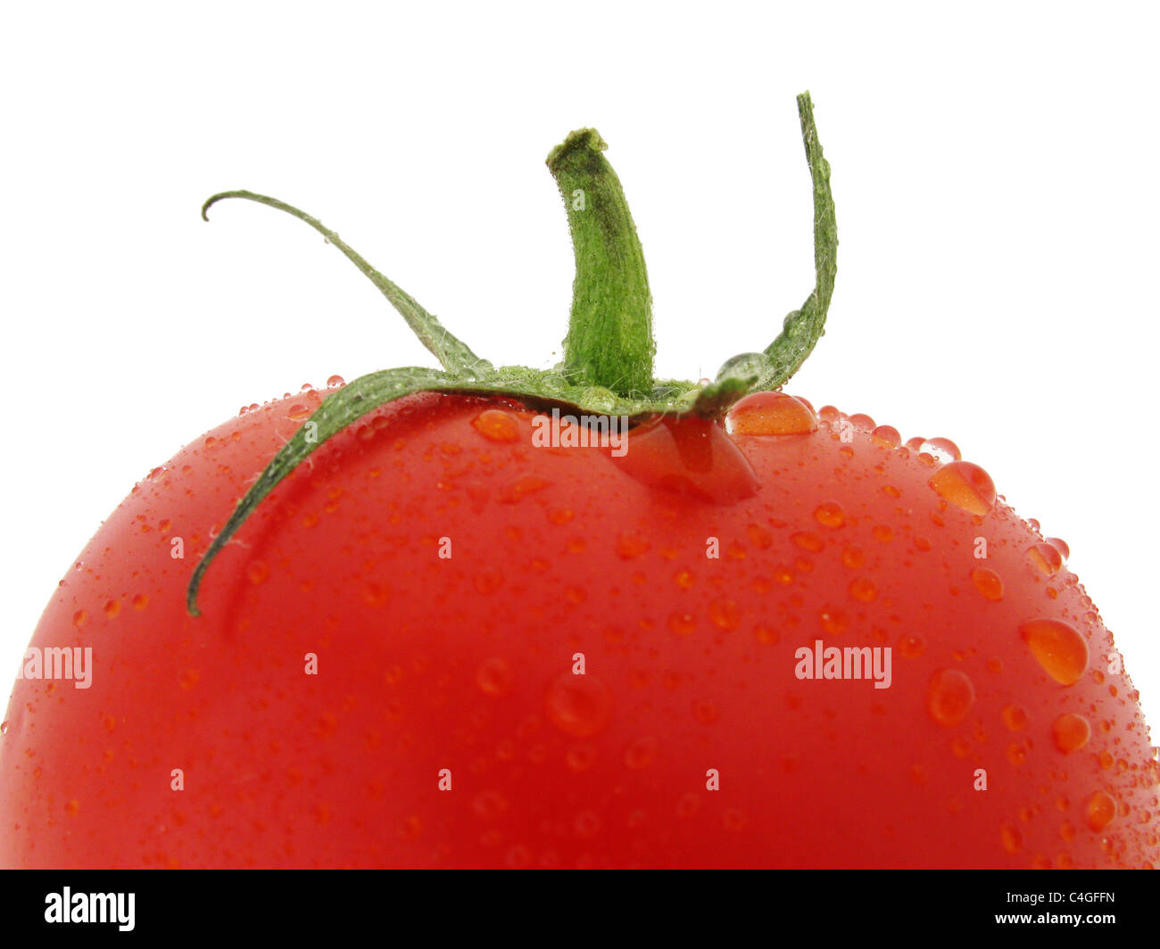 Spitze der nassen Tomate über weiß Stockfoto