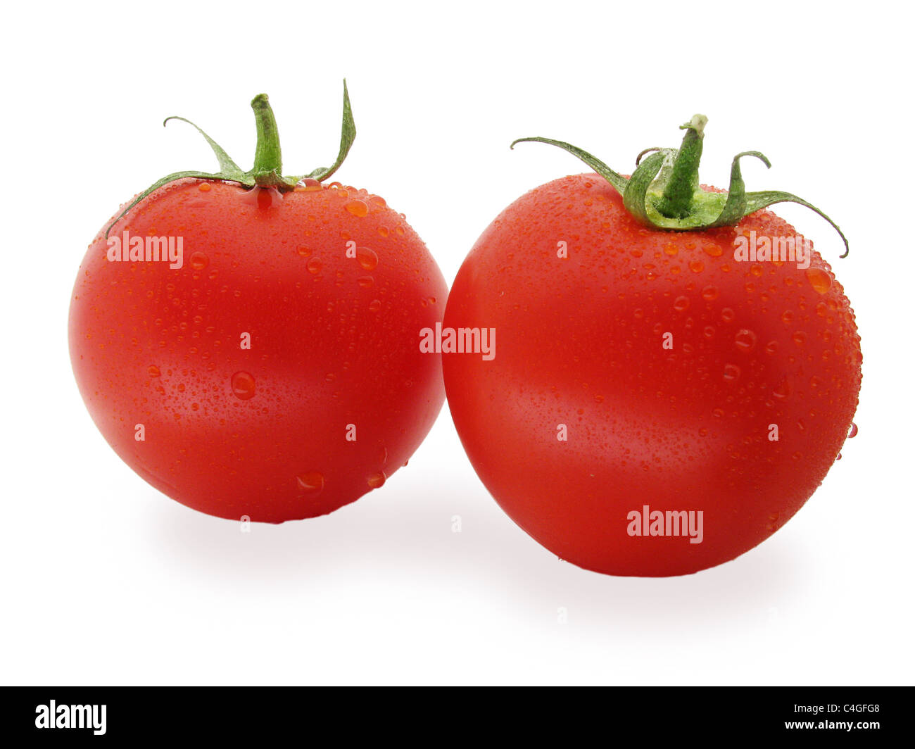 zwei nasse Tomaten isoliert auf weiss Stockfoto