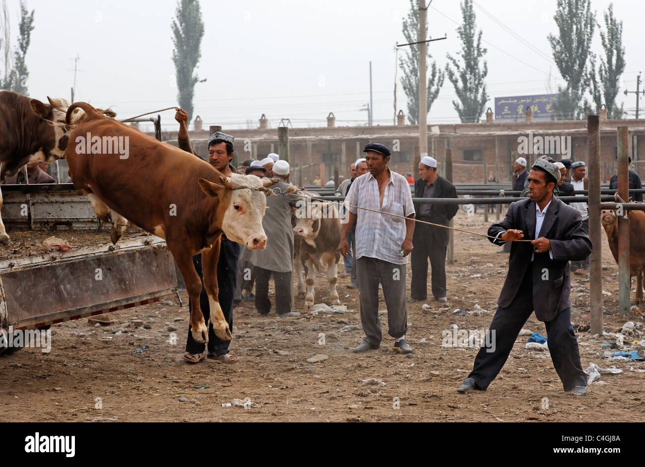 China - Xinjiang Provinz - Kashgar - Sonntagsmarkt Stockfoto
