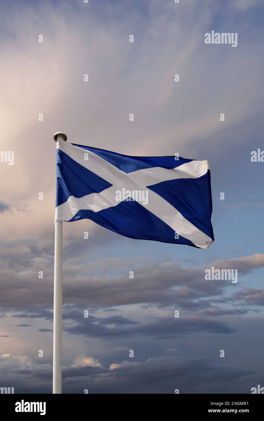 Die schottische Flagge Stockfoto