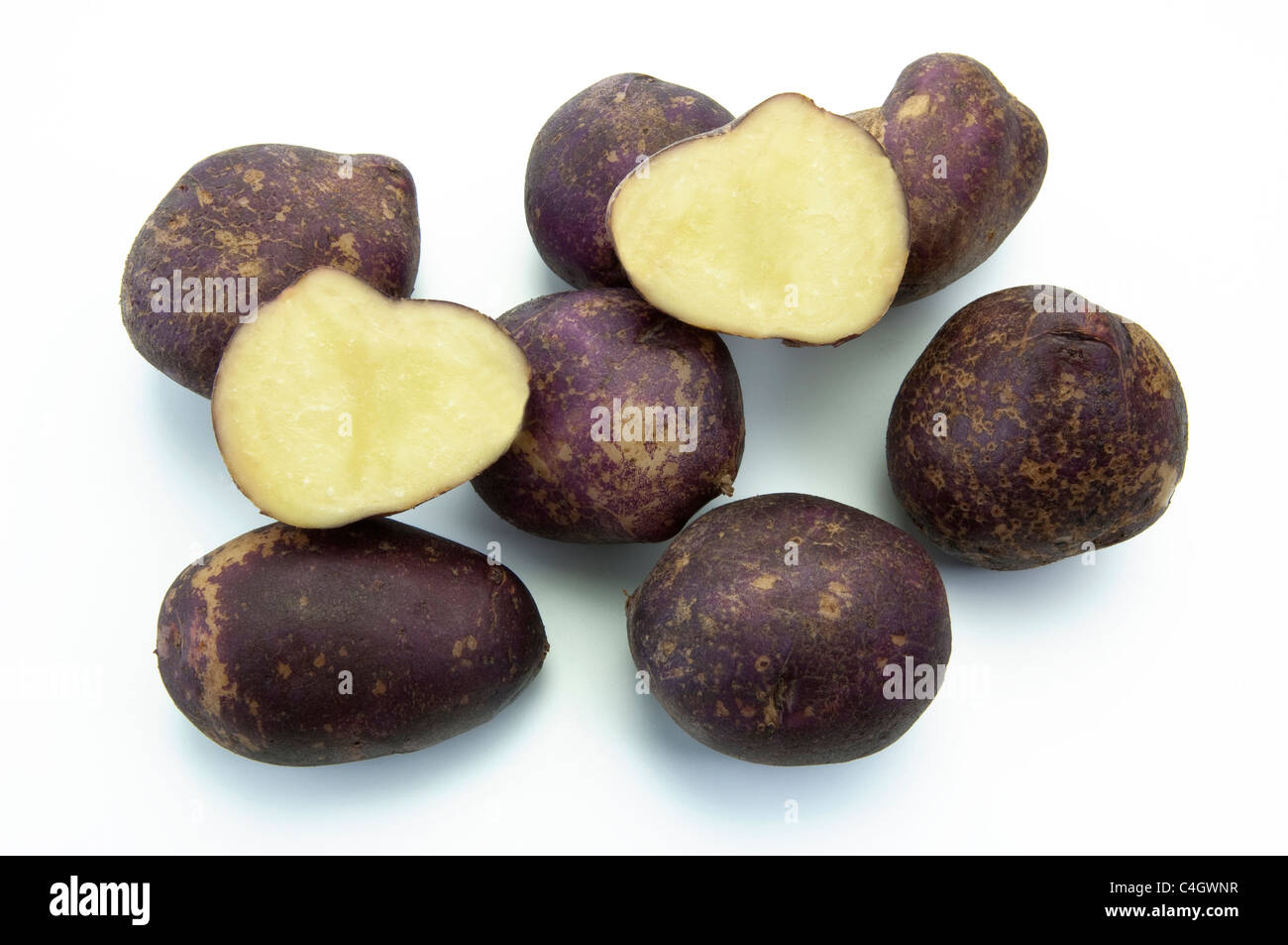 Kartoffel (Solanum Tuberosum Yetholm Zigeuner). Kartoffeln, Studio Bild vor einem weißen Hintergrund. Stockfoto