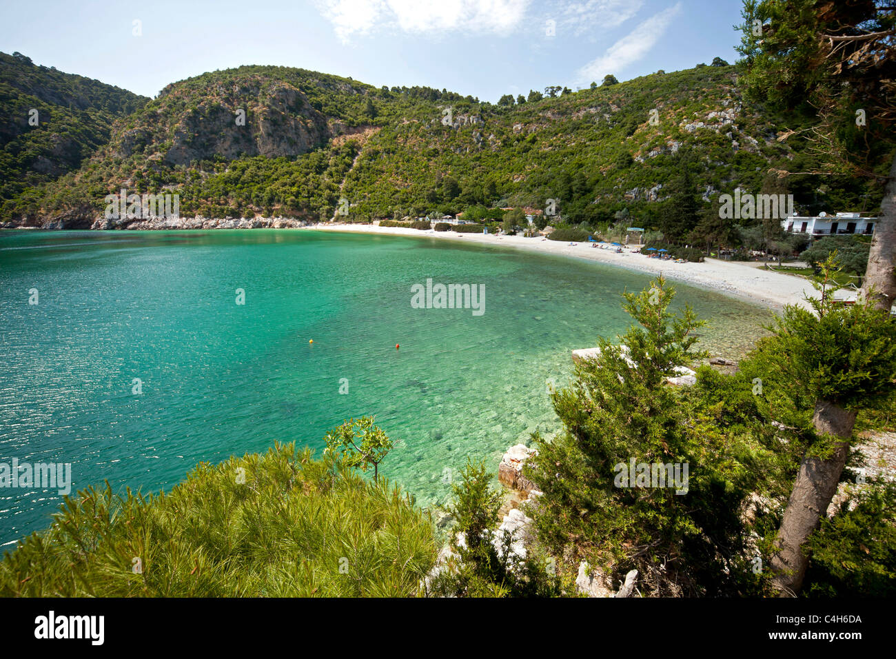 Limnonari Strand und Bucht auf der Insel Skopelos, nördlichen Sporaden, Griechenland Stockfoto