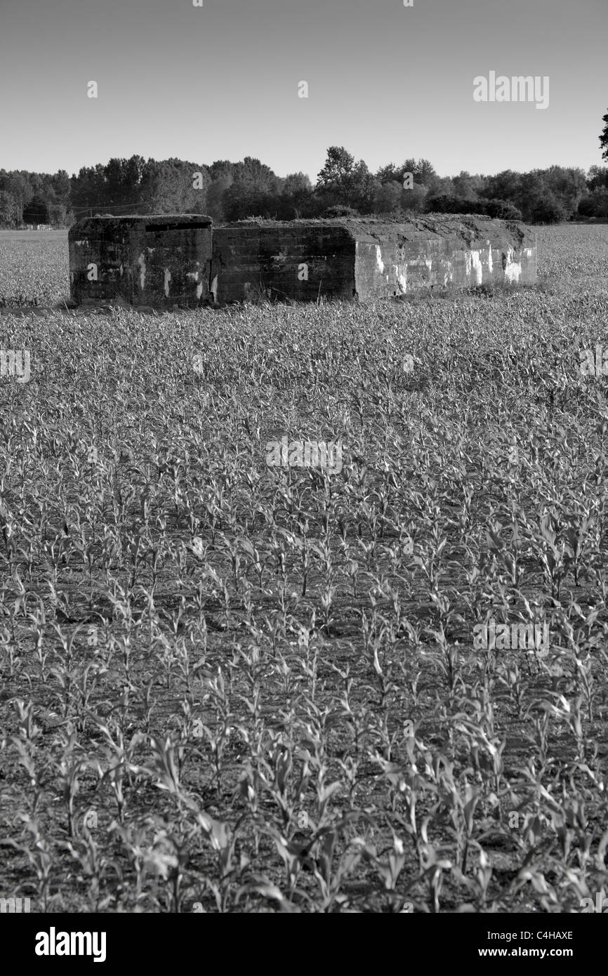 German World War One Bunker in der Nähe von Fromelles in Frankreich, in dem Adolf Hitler serviert Stockfoto