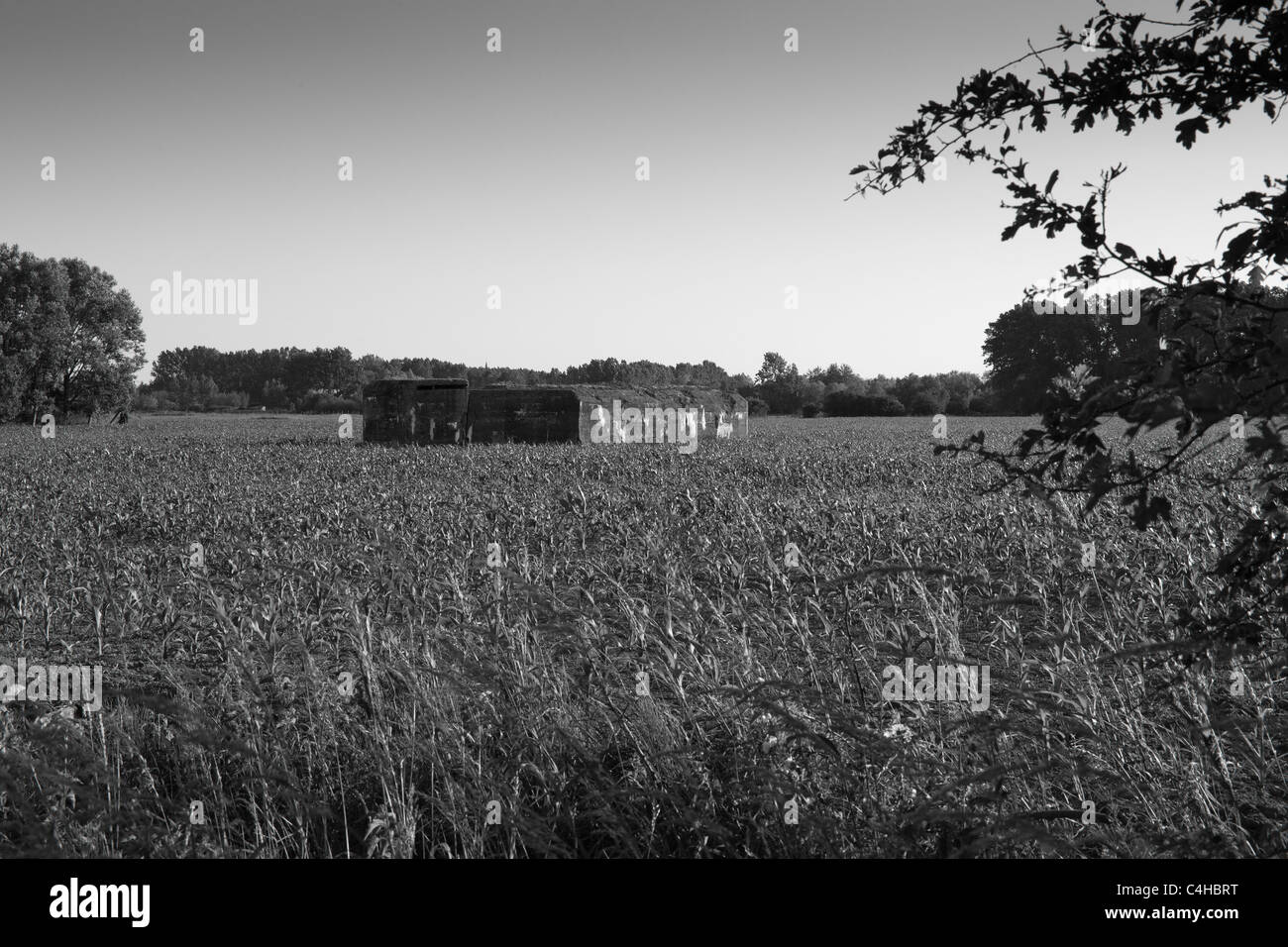 German World War One Bunker in der Nähe von Fromelles in Frankreich, in dem Adolf Hitler serviert Stockfoto