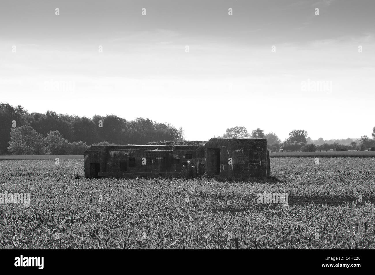 German World War One Bunker in der Nähe von Fromelles in Frankreich, in dem Adolf Hitler angeblich serviert Stockfoto