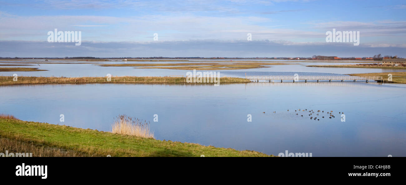 Das Naturschutzgebiet Schouwen-Duiveland, Zeeland, Niederlande Stockfoto