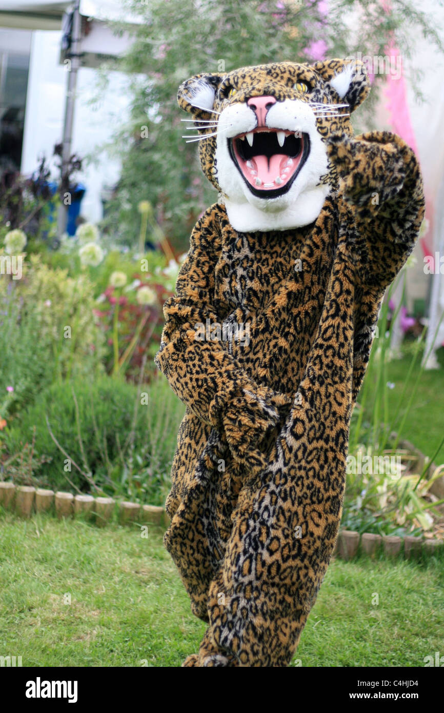 Mitarbeiterin im Heu Literaturfestival gekleidet wie ein Jaguar, Mai 2011 Stockfoto