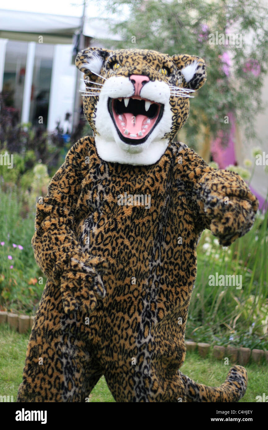 Mitarbeiterin im Heu Literaturfestival gekleidet wie ein jaguar Stockfoto