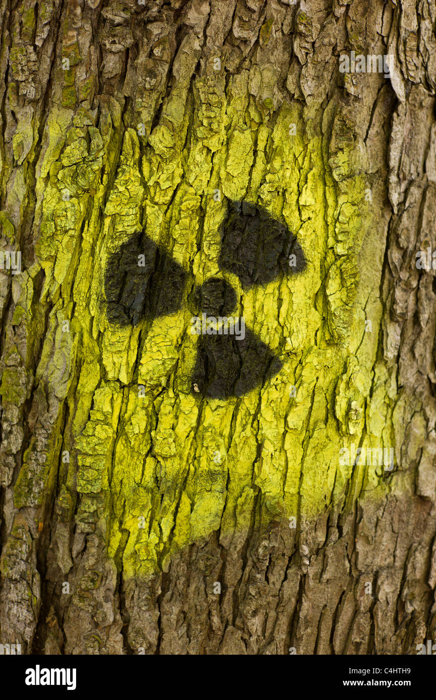 Graffito / Graffiti: schwarzgelb Strahlung Symbol (Kleeblatt) kastriert auf auf dem Stamm eines Baumes in München, Deutschland Stockfoto