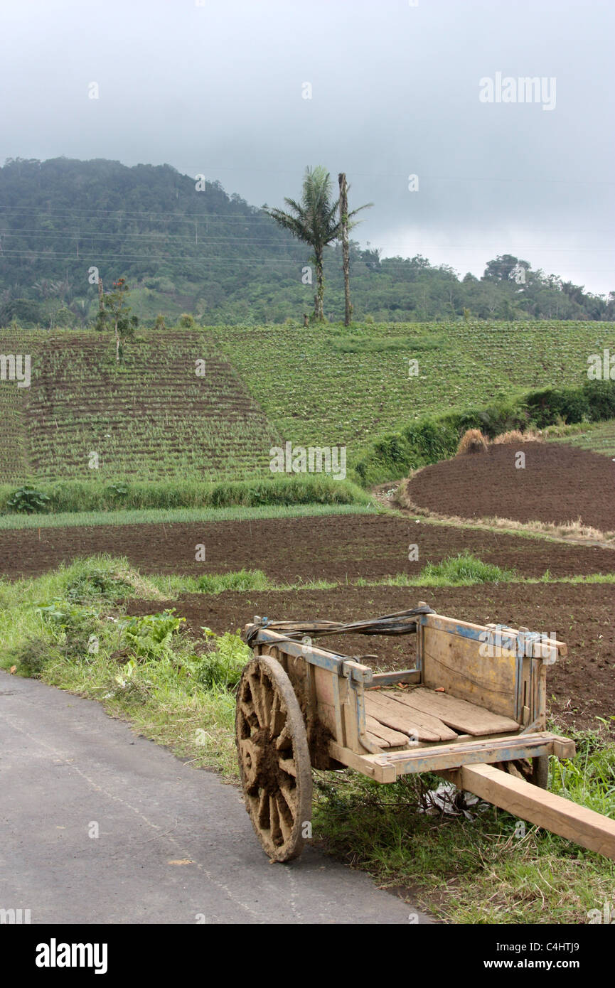 Nord-Sulawesi in der Nähe von Tomohon Stockfoto