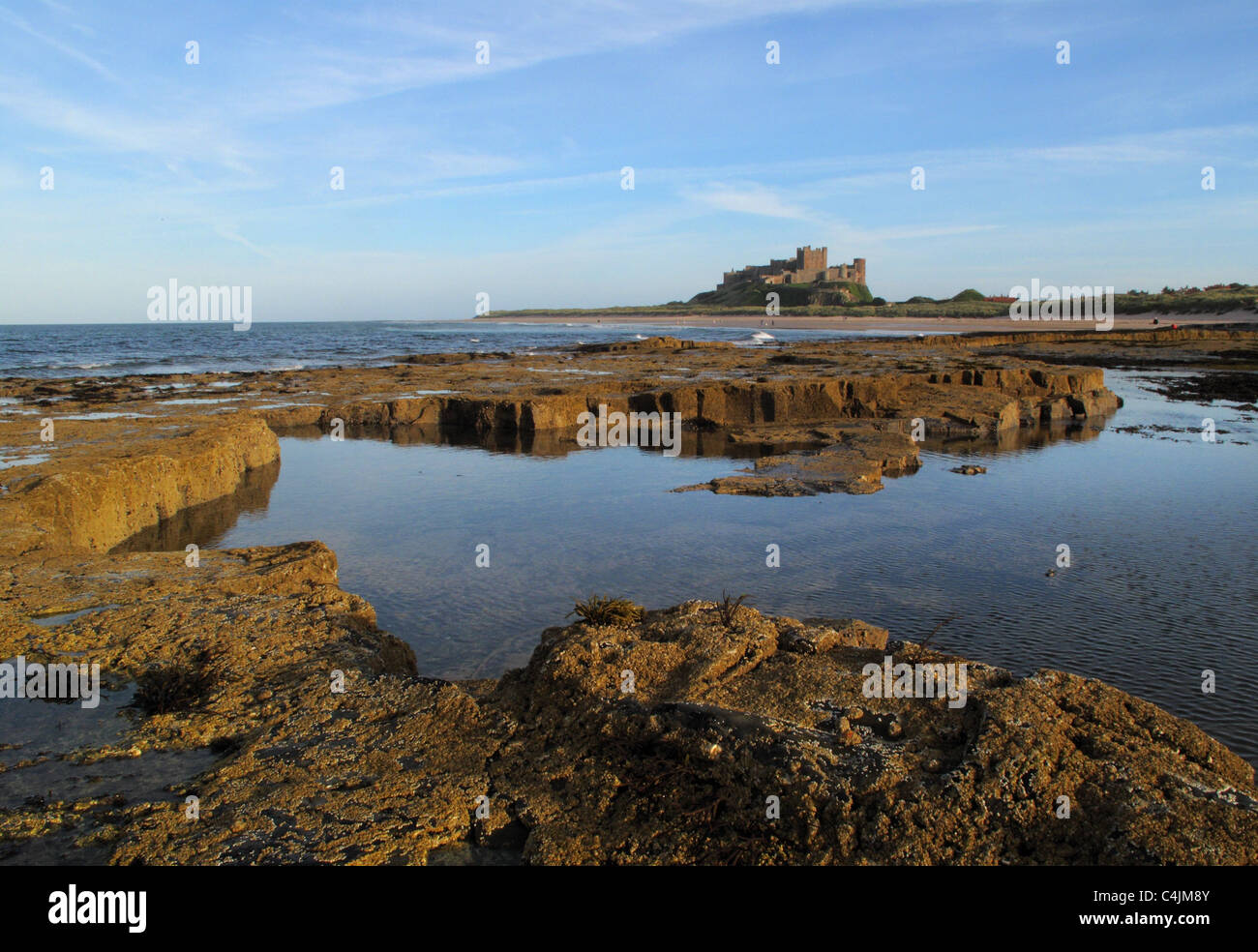 Felsenbad bei Ebbe mit Bamburgh Castle an der Küste bei Bamburgh in Northumberland, England Stockfoto