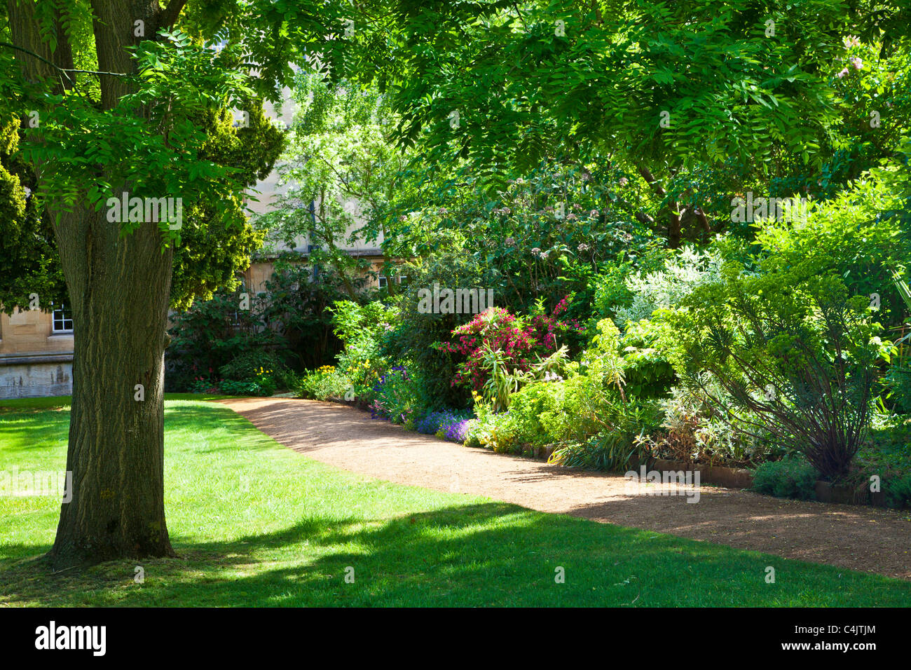 Der Garten am Wadham College, Universität Oxford, Oxfordshire, England, UK, Großbritannien Stockfoto