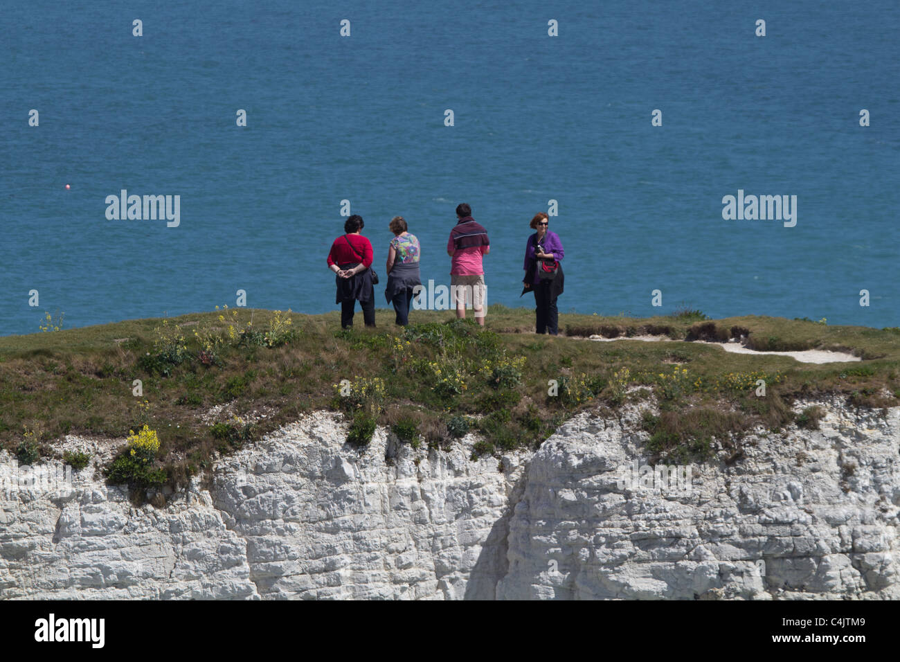 Wanderer auf Kreidefelsen in der Nähe von Old Harry Rocks an der Küste von Dorset. Isle of Purbeck, Dorset, UK. Stockfoto
