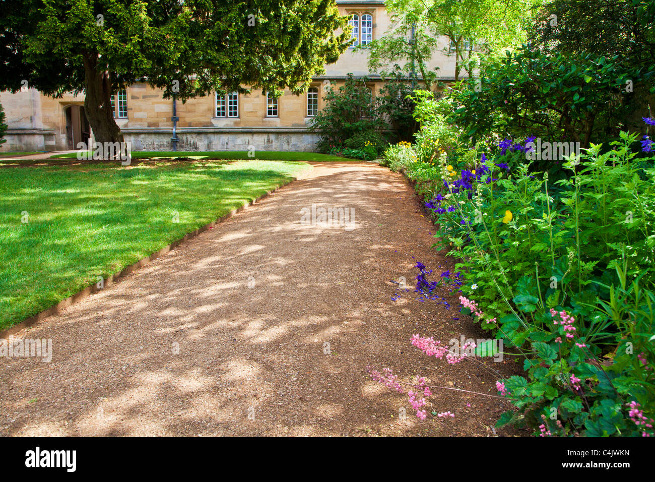 Der Garten am Wadham College, Universität Oxford, Oxfordshire, England, UK, Großbritannien Stockfoto