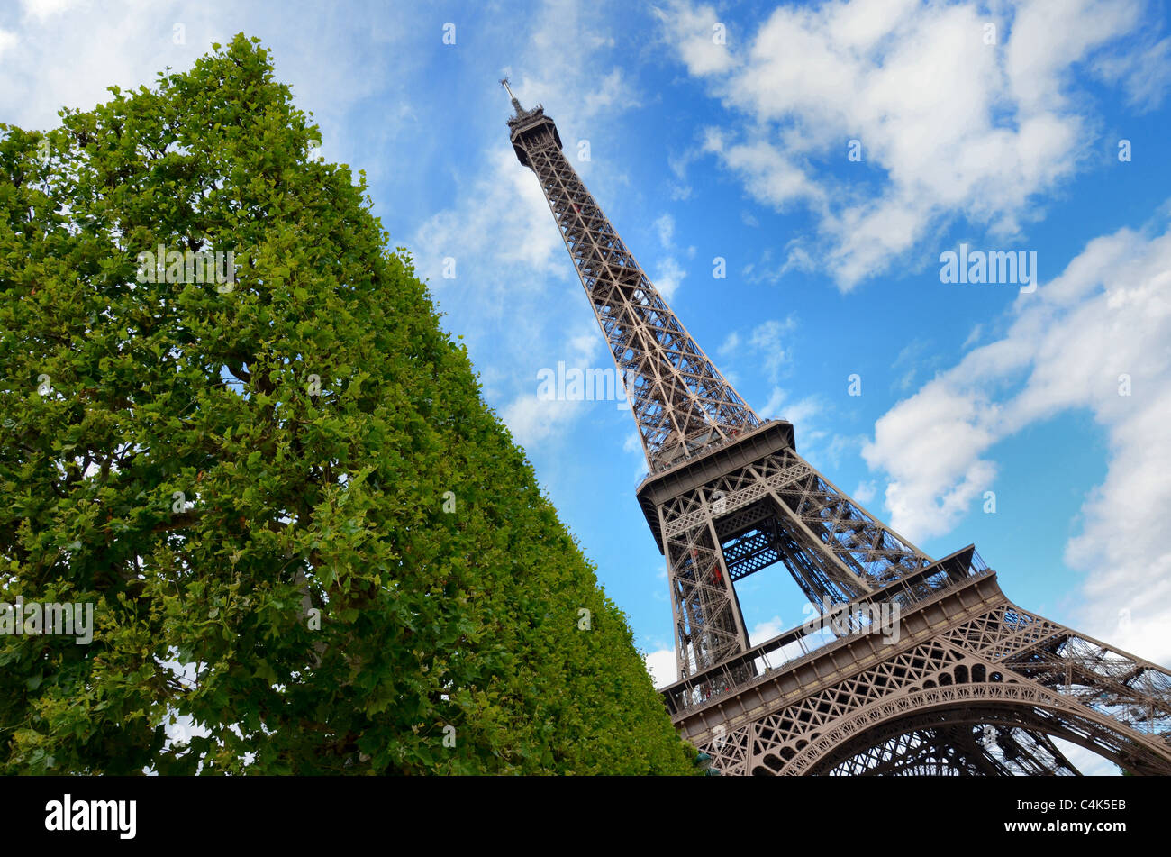 Einen ungewohnten Blick auf den Eiffelturm an einem hellen Sommertag, umrahmt von einer Hecke in der Champs des Mars, Paris. Stockfoto