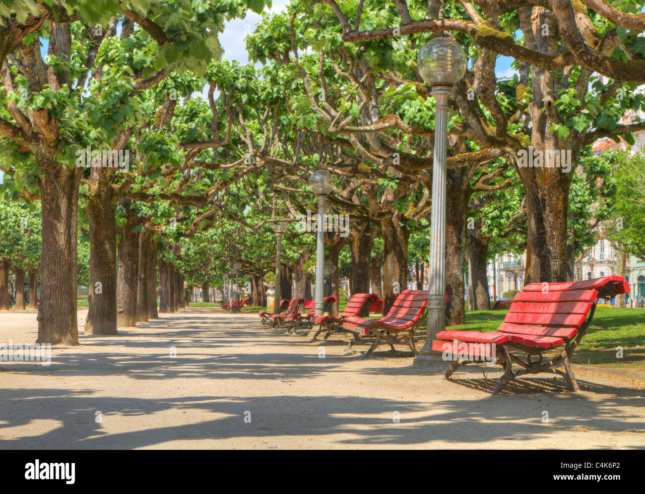 Reihe von roten Holzbänke in einem schönen Park unter dem Schatten der Bäume im Sommer laden zum sitzen und entspannen Stockfoto