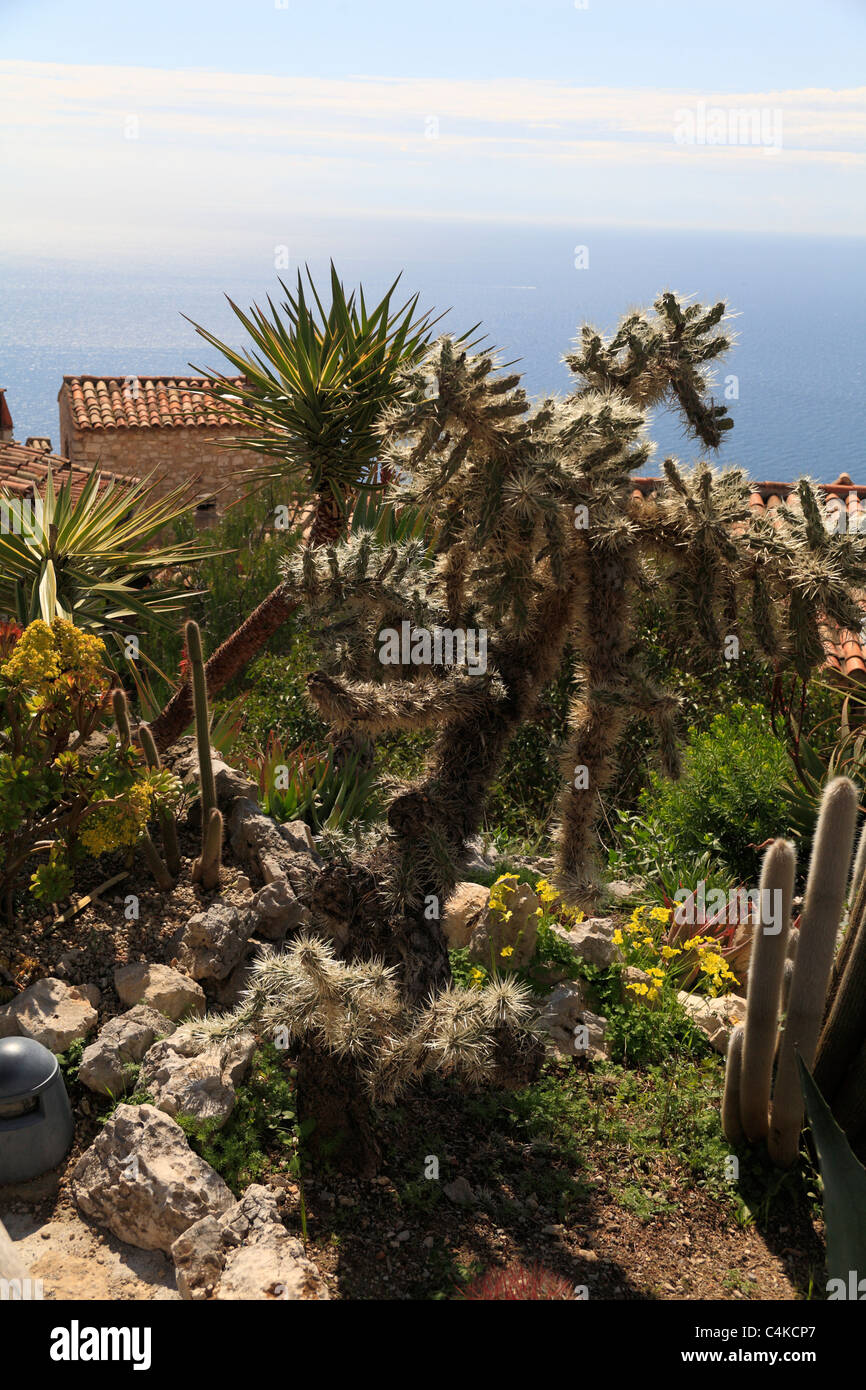 Botanischer Garten Von Eze Stockfotos und bilder Kaufen Alamy