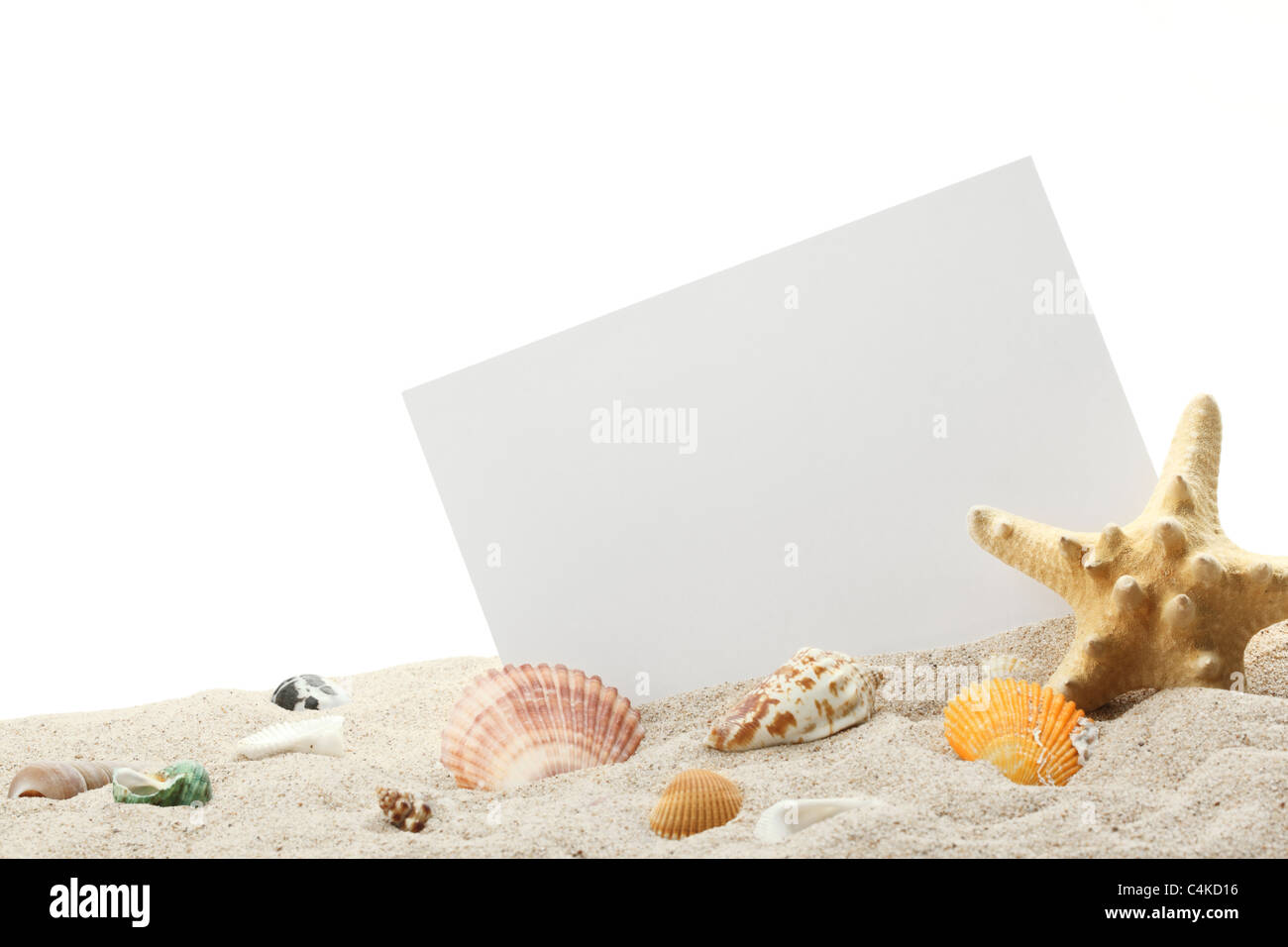 Gedenken an den Strand - Muschel, Seesterne und eine leere Karte mit Textfreiraum. Stockfoto