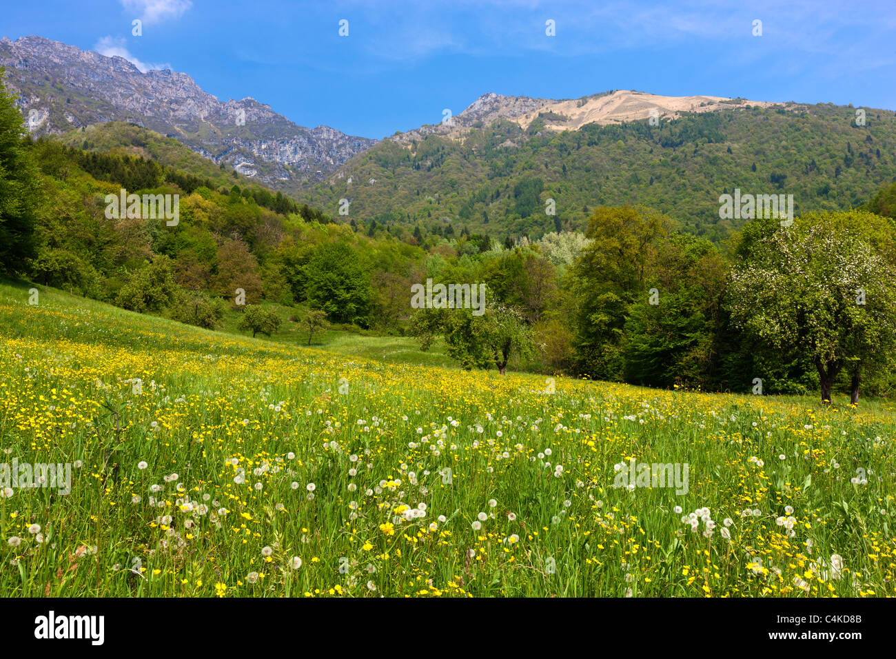Belluno Dolomiten National Park (Parco Nazionale Delle Dolomiti), Villabruna in der Nähe von Feltre, Vento Provinz, Italien, Europa Stockfoto