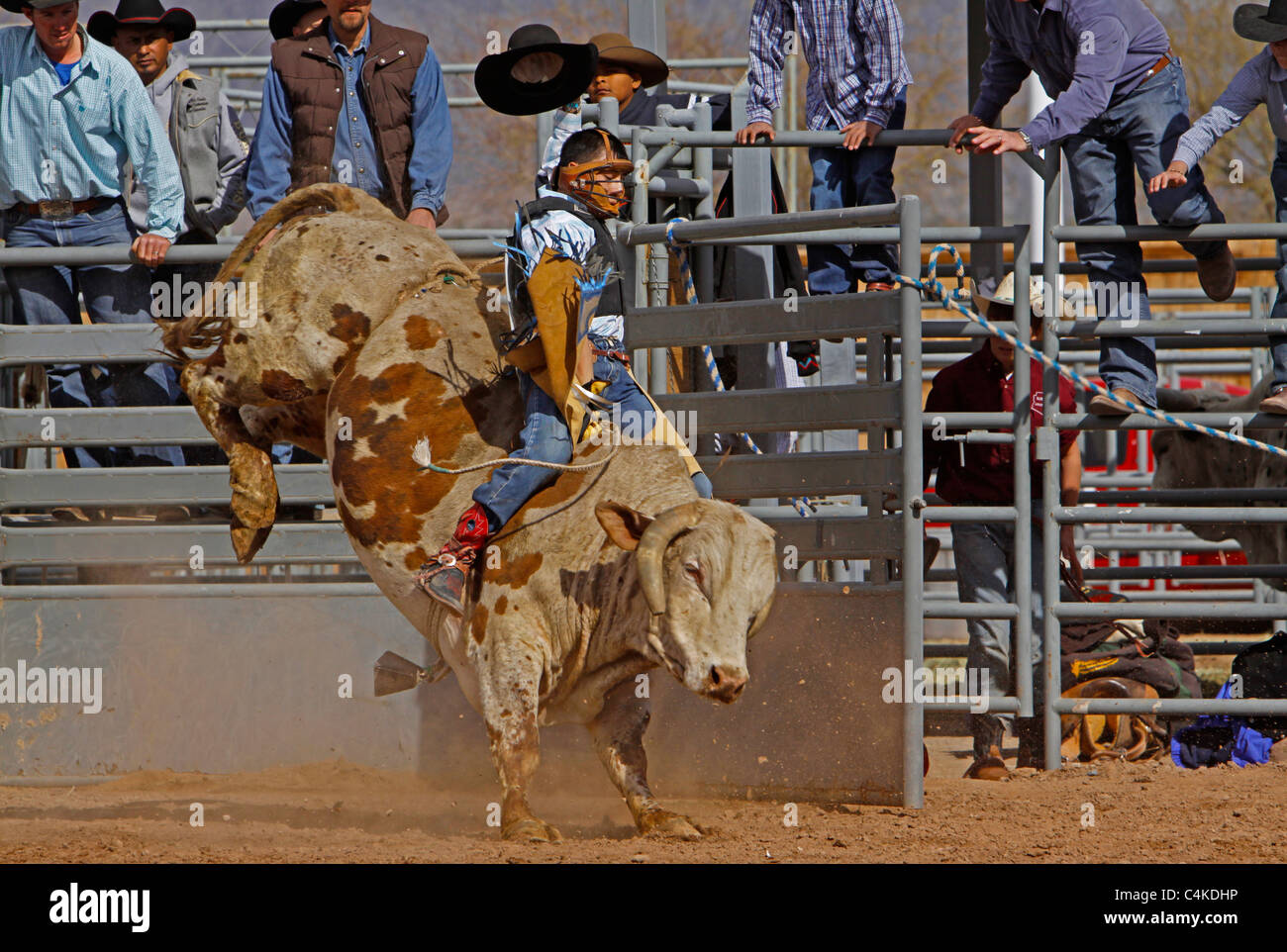 ein junger Mann reitet ein bucking Bull bei einem Arizona-rodeo Stockfoto