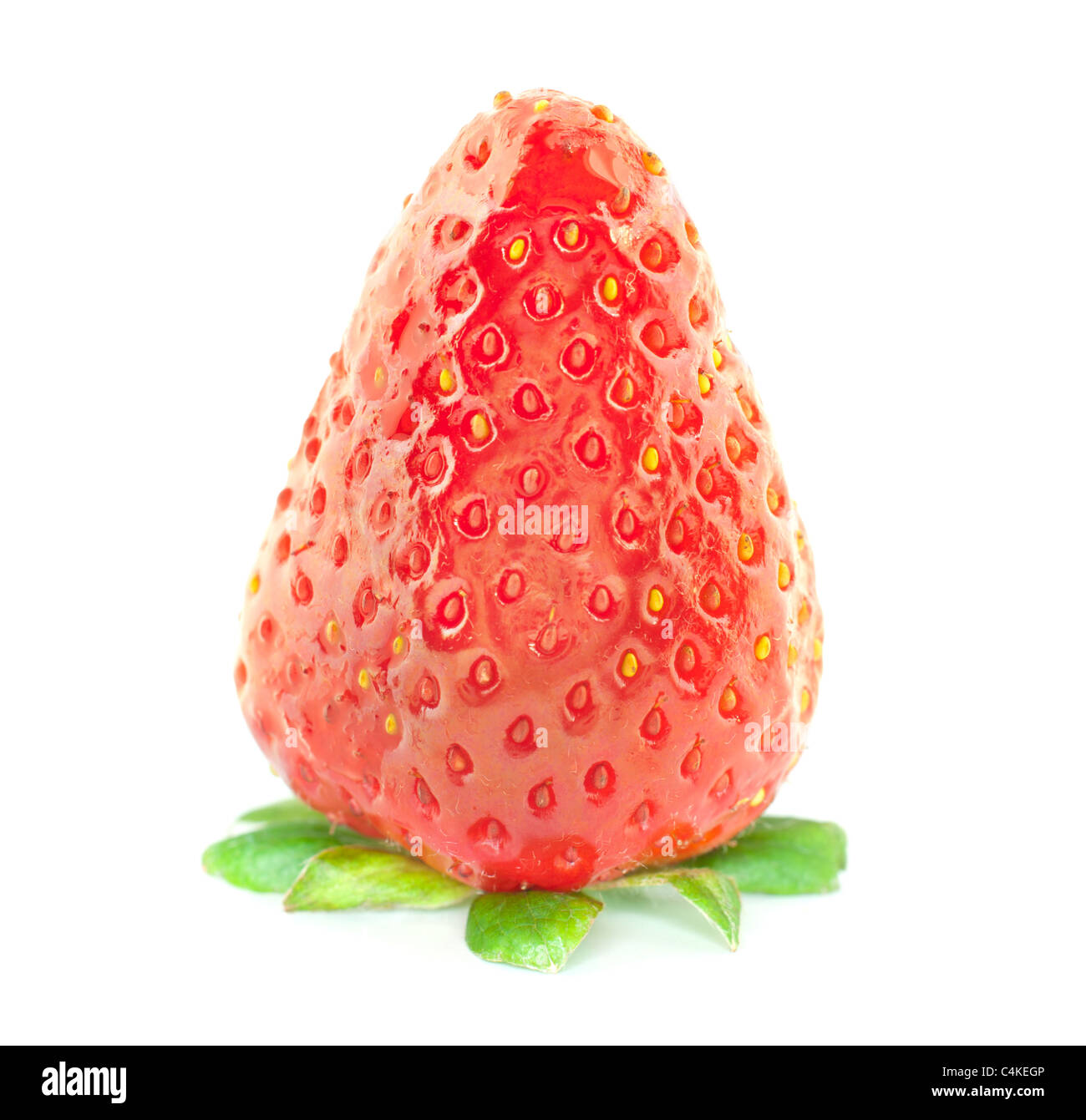 Erdbeeren auf weißem Hintergrund Stockfoto