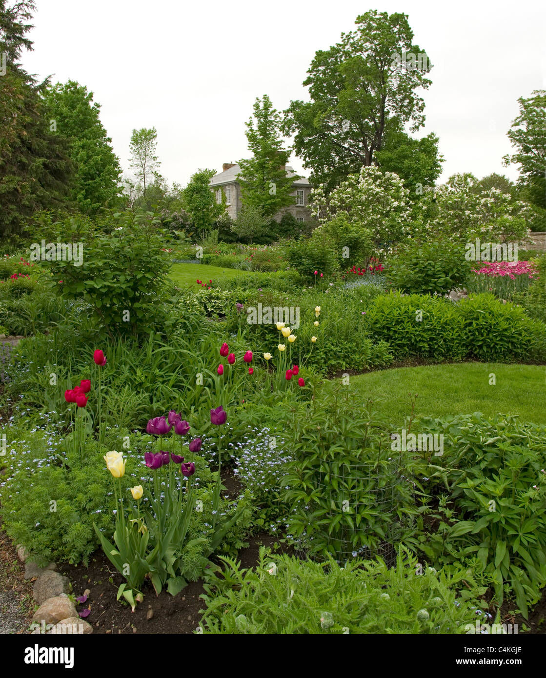 Maplelawn Gärten Ottawa Stockfoto
