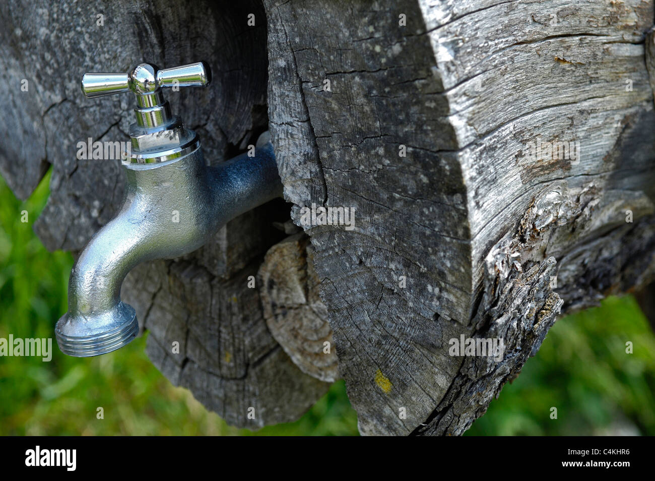 Metall Wasserhahn aus einem frischen Gebirgsbach eingespeist und im Inneren ein Holzscheit montiert. Stockfoto