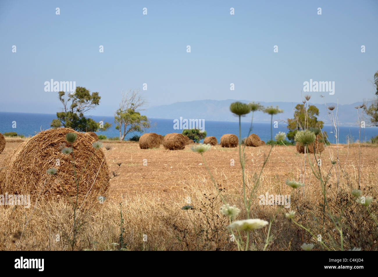 Landschaft im Süden Zyperns Stockfoto