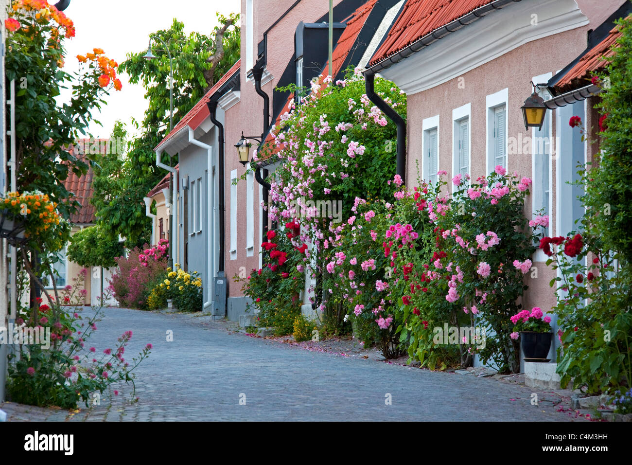Traditionelle Häuser geschmückt mit Blumen in der gepflasterten Straße der Hansestadt Visby, Gotland, Schweden Stockfoto