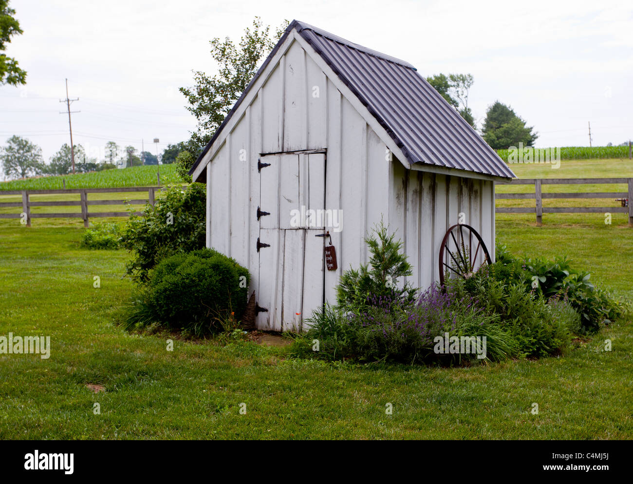 Alte weiße Hütte auf landwirtschaftlichen Flächen mit Bäumen und Pflanzen im Hintergrund. Stockfoto